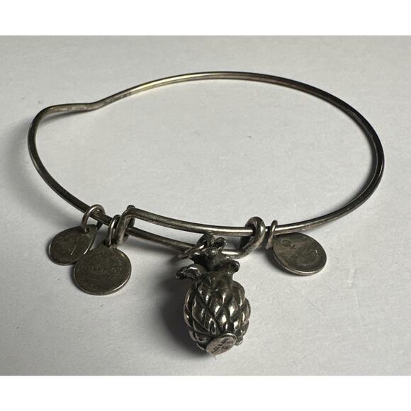 2010 Alex And Ani Silvertone Pineapple Charm Bracelet - Picture 1 of 2